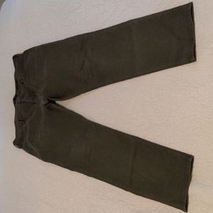 38W/32L Banana Republic olive traveler pants